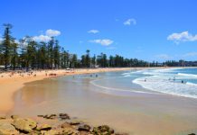 鰐魚疑作案!澳79歲老人失蹤 海灘發現其衣物 警方:無謀殺跡象