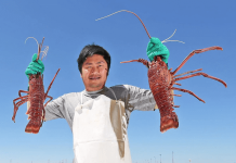 聖誕龍蝦供應增8噸 只限本地出售抗加價