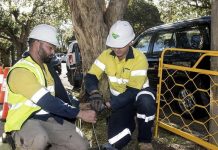 澳洲十萬用戶被迫轉用NBN 否則將不能上網