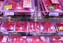 【限澳令?】2018 年澳中恐爆經貿戰