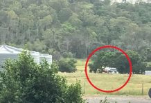 兩工人疑吸入氣體 倒斃拖頭儲存槽內