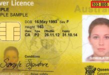 LGBTI群體施壓令昆州推性別中立駕照