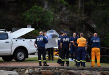 【雪梨墜機慘劇】出事小型飛機20年前曾經「全毀」