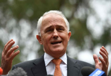 譚保成最大獻金金主 華商遭玩殘 捐款暴跌