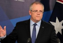 【稅務建議】政府建議向公司減稅向罪犯抽稅