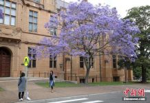 因涉嫌滥用公款 悉尼大学20多位员工接受调查