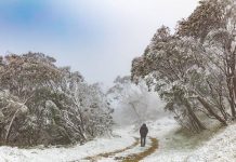 澳洲迎來史上最寒冬天