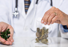 維州將成南半球藥用大麻樞紐