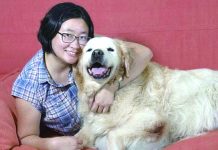 昆省寵物主人獲新選擇 漸增尋求中醫治療貓狗