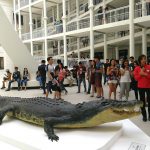 【馬尼拉故事】菲90年羅馬建築 變國博館掀觀光潮