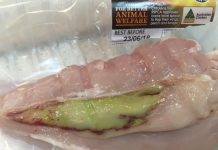 墨市婦買到綠色雞肉 Coles稱可安全食用