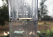 紐省昆省迎來降雨 仍無助解嚴重旱象