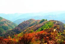 铜川香山秋色绽放 漫山红叶迷人眼