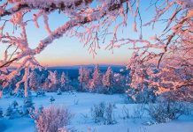 长白山景区“网红粉雪”面向全球免费畅游