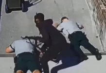 劫解款車悍匪司機自投羅網