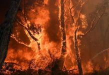 昆省熱浪加劇全省85處山火