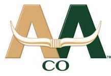 上半年AACO淨虧損6850萬