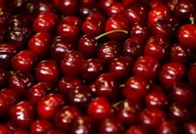 澳櫻桃大豐收料達1.8萬噸