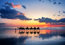 西澳吸引上海遊客 開新航線直飛柏斯