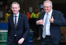 聯邦考慮改革人口政策 交省地決定每年移民量