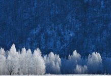 感受冰雪情韵?当属“神州北极”漠河