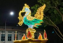 新加坡有个小印度,夜晚繁灯似海