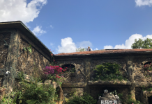 海南首个熊猫世界提前看!