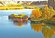 银川这些深秋美景,都能让你流连忘返!