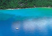 昆省小島鯊魚咬死男子 個多月前兩泳客曾遭襲