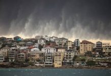 悉尼業主“瘋狂”打折買房:12月至1月是最佳撿漏期