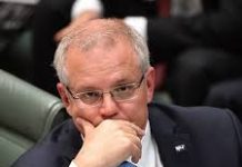 澳洲總理再次發放削減移民信號:來年預計減至16萬