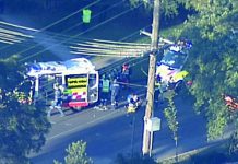 雪梨逆線撞斃3歲童 七旬華裔婦判囚年半