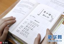 不仅酷,还很暖:各国学习中文的N种理由