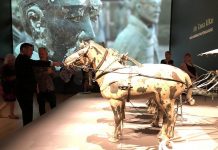 秦始皇兵马俑时隔15年再赴新西兰展出