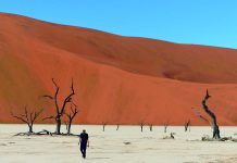 纳米比亚死亡谷,分分钟拍出”大片”