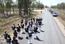 澳飼養場遭“突襲” 百名激進素食主義者要求動物解放 引農場主恐慌