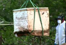 細思極恐!澳一房屋後院挖出冰櫃 裡面秘藏人體殘骸 疑似與一起失蹤案有關