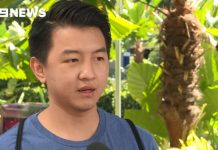 飛來橫禍!華男在澳無端被攻擊,一拳上臉導致骨折!手術費用高昂卻無保險!