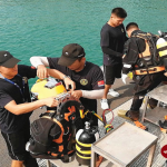 5d50d38ccd53d-800x450_5d525cabde847.png