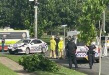 昆州男子拒捕後開走警車 橫衝直撞撞停后自淋汽油 被警方連開多槍逮捕