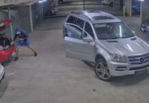 布里斯班雌雄大盜瘋狂連續作案 警方呼籲提供線索