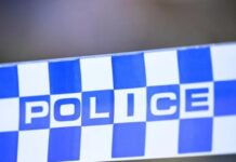 布市南區路怒槍擊案 : 子彈擊穿車窗 車內一家五口險中槍