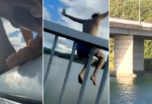 玩命網紅黃金海岸行車中跳橋 議員直呼「白癡」 或被罰款 $3,000