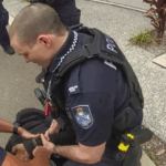 下載 – 2025-08-22T160336.615